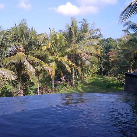 Dewa House Bisma Hotel Ubud  Exterior photo
