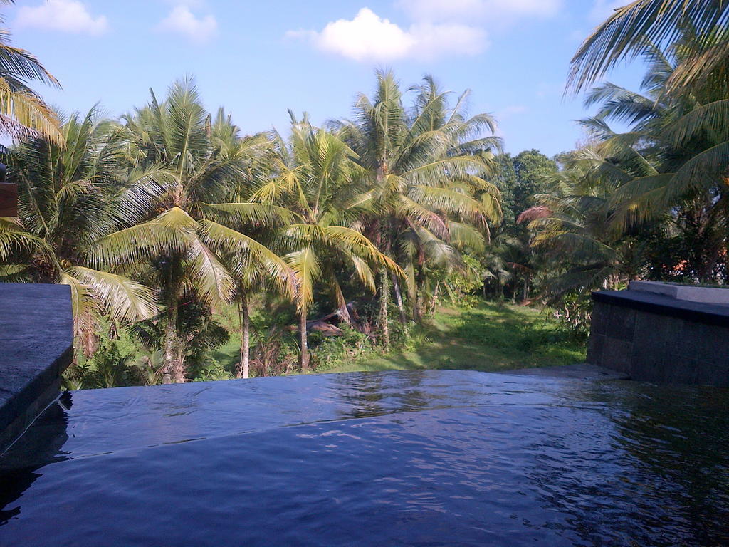 Dewa House Bisma Hotel Ubud  Exterior photo