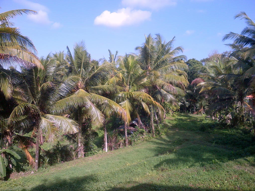 Dewa House Bisma Hotel Ubud  Exterior photo