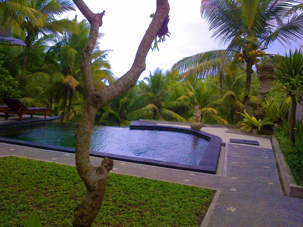 Dewa House Bisma Hotel Ubud  Exterior photo