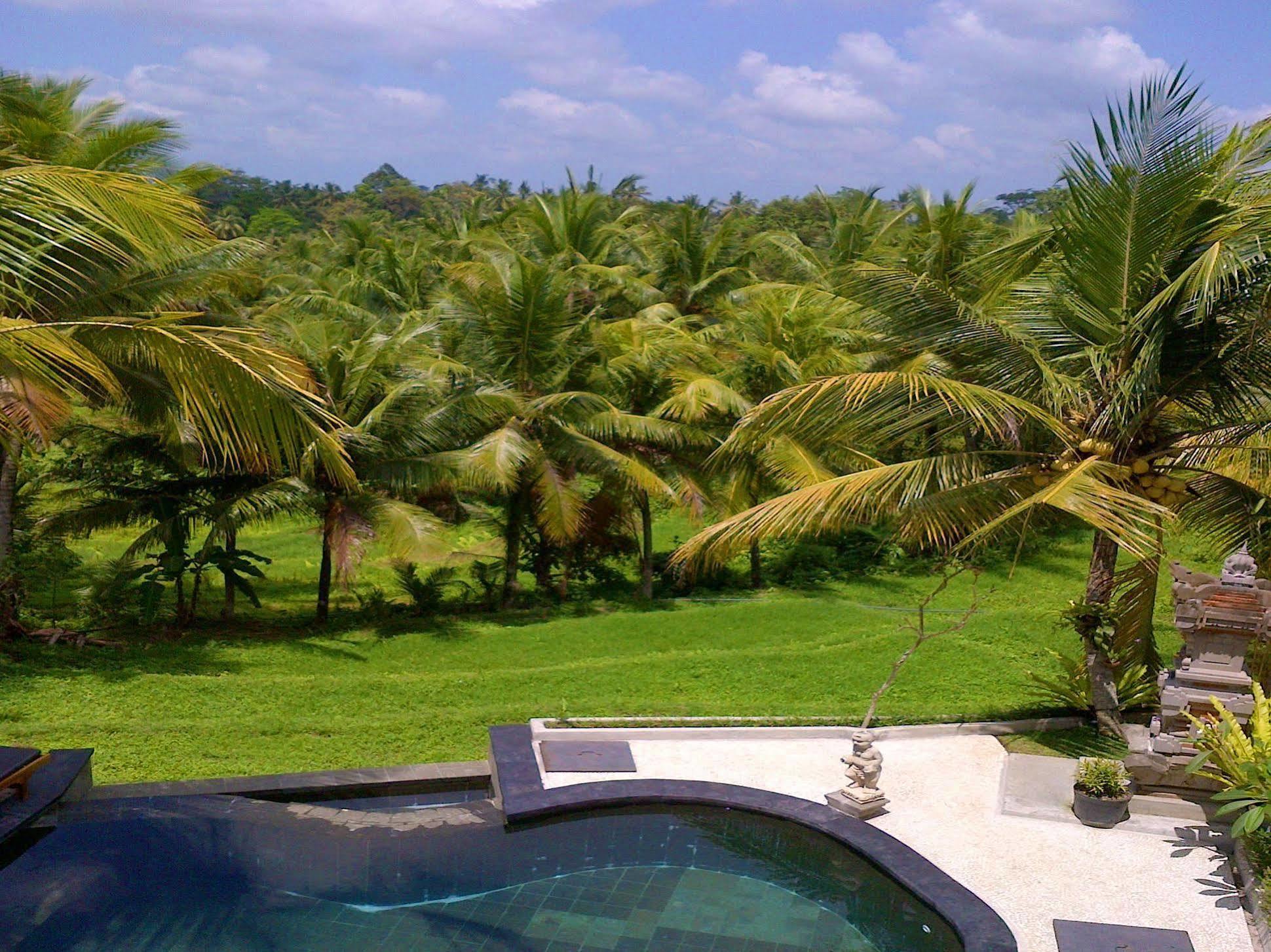 Dewa House Bisma Hotel Ubud  Exterior photo